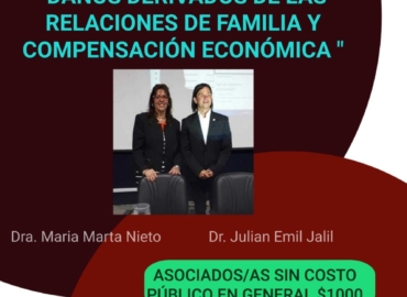 4° Módulo: «Daños derivados de las relaciones de familia y compensación económica»